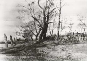 Landschaft mit Birke