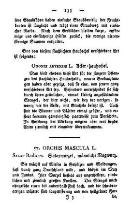 57. Orchis mascula L.