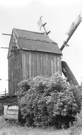 Niedere Börde-Meseberg. Bockmühle