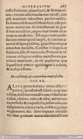 De cachimijs et poribus imperfectis. Cap. XX.