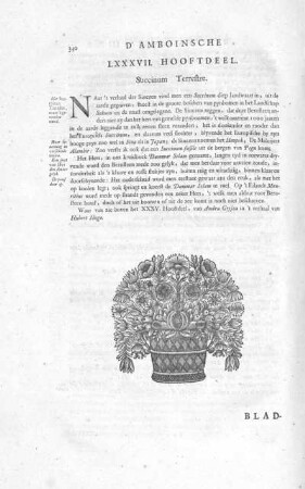LXXXVII. Hooftdeel. Succinum Terrestre