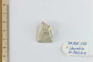 Silex
