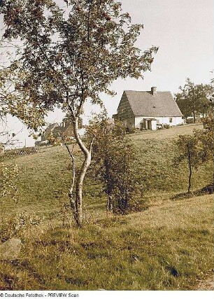 Zinnwald-Georgenfeld. Anwesen mit Vogelbeerbäumen in Altgeorgenfeld