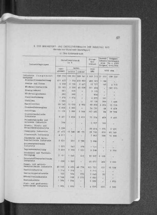 6. Der Brennstoff- und Energieverbrauch der Industrie 1973