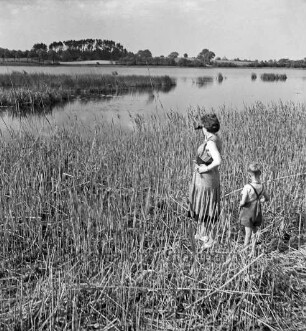 Stenzerteich: vorn Schilf: rechts Ellen Marfels mit Sohn Ole: hinten Baumreihen