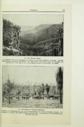 Die Blauen Berge