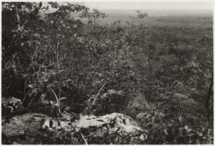 Ausblick vom Tafelberg in Richtung Westen mit der Vegetation des obersten Steilhanges : 24,86 km westlich von Nioaque, Höhe: ca. 460 m