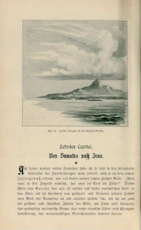 Zehntes Capitel. Von Sumatra nach Jena
