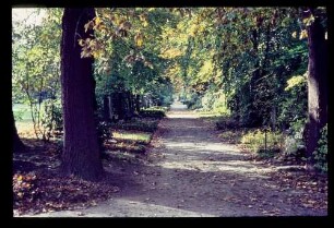 Ohlsdorfer Friedhof 12.10.63.