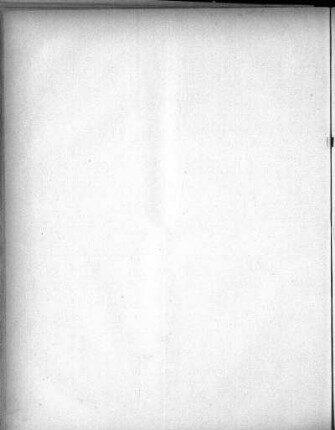 No. 13 (90), 12. Februar 1881