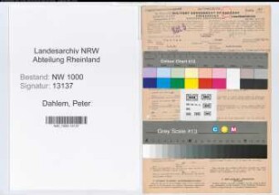 Entnazifizierung Peter Dahlem, geb. 08.08.1889 (Landessekretaer)