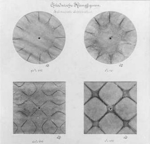 Chladnische Klangfiguren I. : Technikgeschichte | Physik | Akustik | Schallschwingungen und ihre photographische Wiedergabe