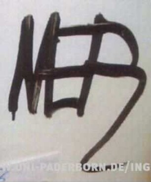 NER