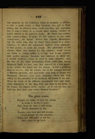 The glow-worm.