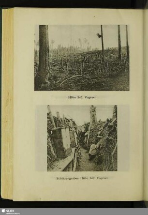 Schützengraben Höhe 542, Vogesen