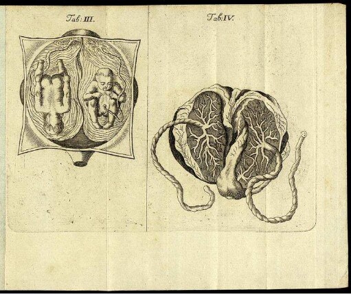 Tab: III. Tab: IV.