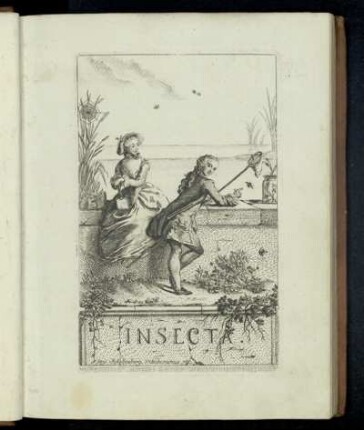 Die Kennzeichen der Insekten