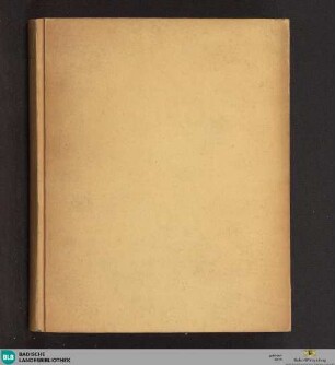 Philosophia - Cod. Ettenheim-Münster 291 : jus et theologia