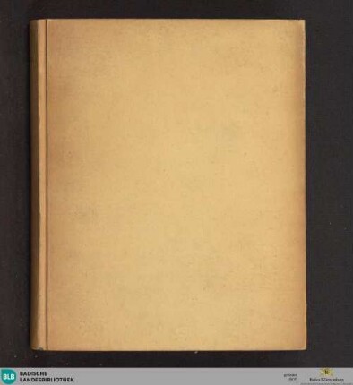 Philosophia - Cod. Ettenheim-Münster 291 : jus et theologia