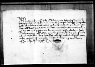 Graf Alwig von Sulz quittiert über 100 fl. Zins, die Konrad vom Stain überantwortet worden sind.
