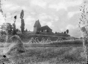 Panitzsch, Kirche : Panitzsch. Blick über Getreidefeld zu Kirche