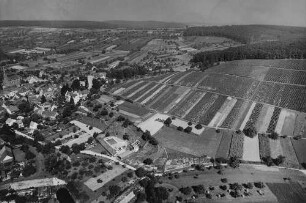 Archivfotografie "kraichgau_obergrombach_3808"
