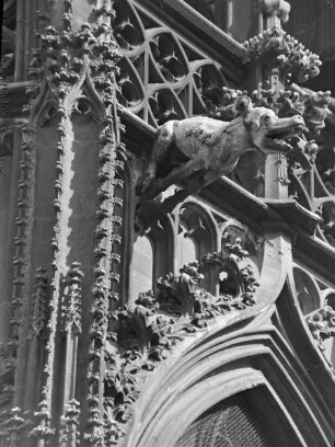 Dom Sankt Stephan / Stephansdom — Vorhalle