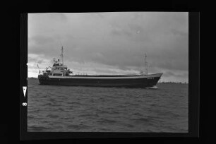 Antje B. ex Claus (1968), G. Braasch, Varel