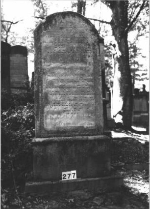 Grabstein 277 (Index: 99898566) Material: Sandstein Zustand: angewittert Maße HxBxT: 196x74x23 cm Beschreibung: aufgesockelte Stele mit Segmentbogenabschluss, Doppelgrabstein Besonderheit: Doppelgrab für Eheleute: Grabstein 277