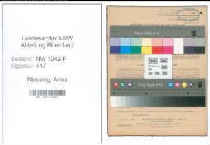 Entnazifizierung Anna Niessing , geb. 18.09.1904 (Sparkassenfilialleiterin)