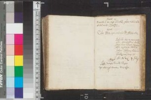 Einträge Bl. 61 - 81