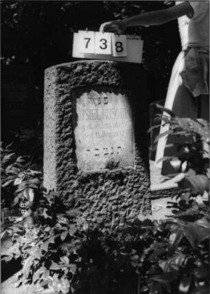 Grabstein 738