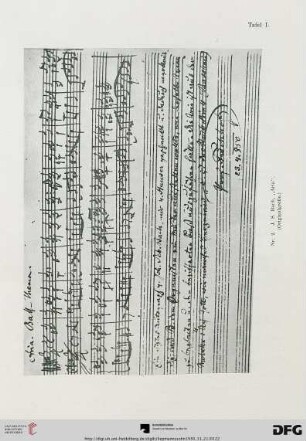Tafeln I-VII