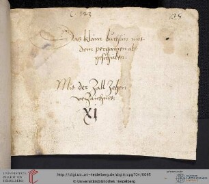 Teil IV: Medizinische Rezeptsammlung