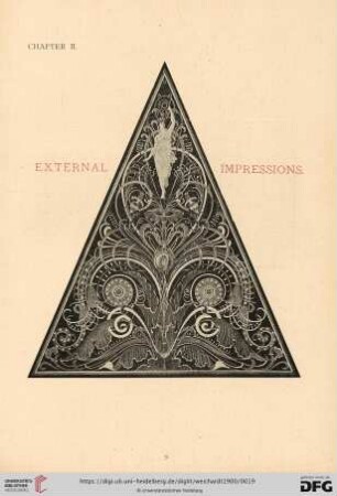 Chapter II. External Impressions