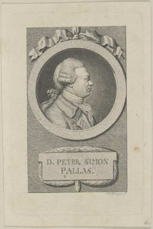 Bildnis des Peter Simon Pallas