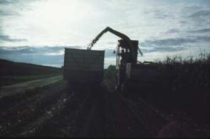 Fotografie: Ernteverfahren, Silomais, Parallelverfahren, Feldhäcksler selbstfahrend