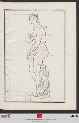 Taf. 29 [Medici-Venus (Proportionen; Kontur)]