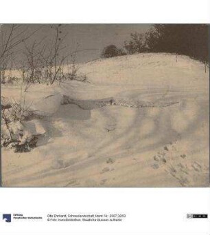 Schneelandschaft
