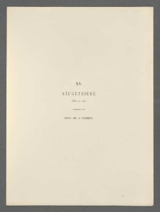 XV. Säugethiere (Taf. 117-119)