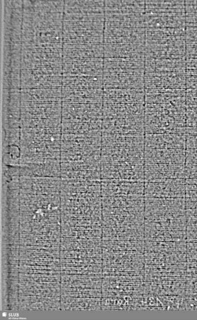 Wasserzeichen S.11_12