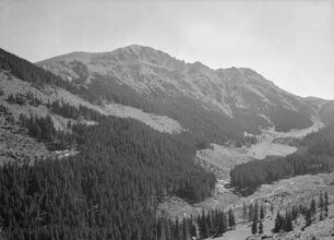 Tal in der polnischen Tatra