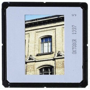 Berlin, Museum für Naturkunde