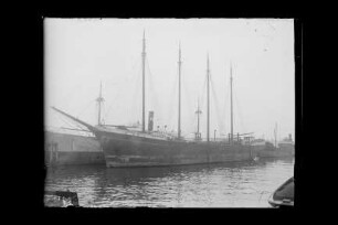 Dora (1917), Dt. Steinsalz Syn.