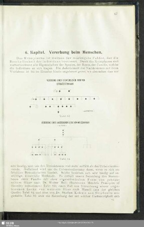 6. Kapitel. Vererbung beim Menschen