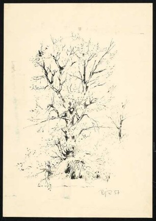 Zeichenübungen und Skizzen: Zeichenübrung: Baum