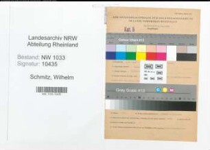 Entnazifizierung Wilhelm Schmitz , geb. 03.06.1904 (Polizeibeamter)