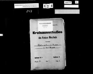 Wahl der Gemeindevorsteher im Amt Meschede Bd.2