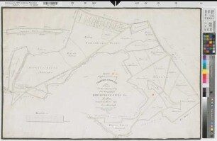 Nordwalde (Nordwalde), Teilung des Rohlingsvenn und Kibitz Schlatt, , Bl. 1 Reinkarte