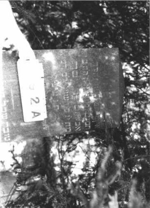 Grabstein 92 (Index: 100105800) Material: polierter Garnit Zustand: sehr gut Maße HxBxT: 218x66x36 cm Beschreibung: Obelisk, getreppter Rusticasockel Besonderheit: Doppelgrab für Eheleute: Grabstein 92A